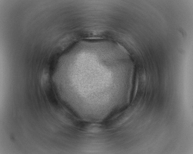 X0000113540222200910091250