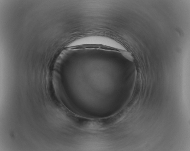 X0000113540223200910091250