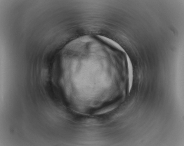 X0000113540224200910091250