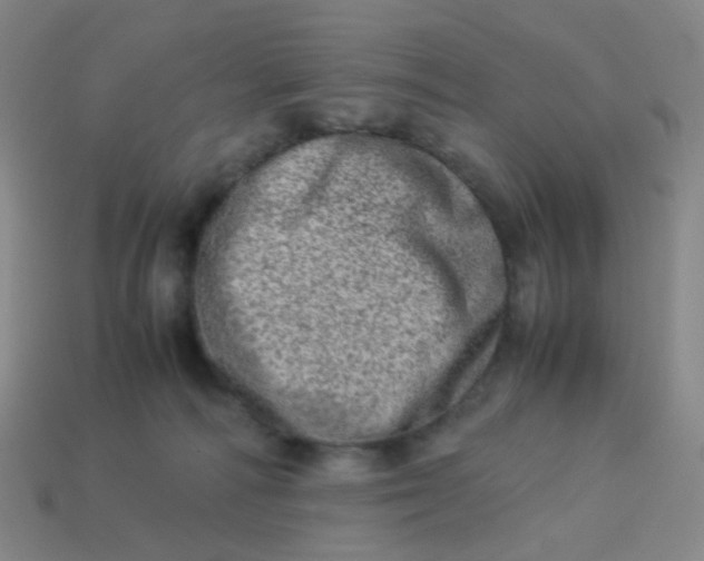 X0000113540226200910091250