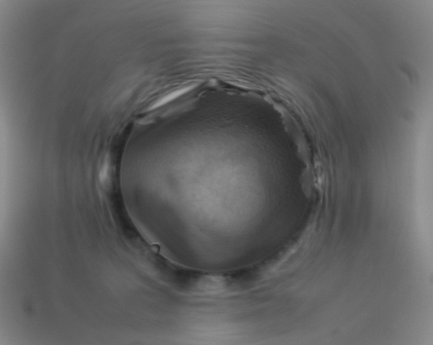 X0000113540227200910091250