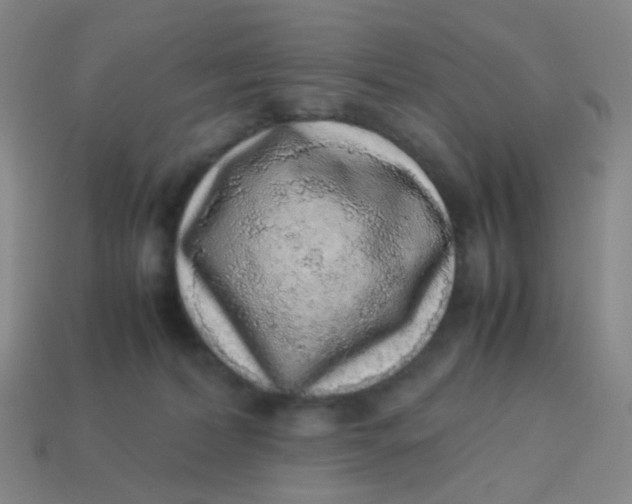 X0000113540228200910091250