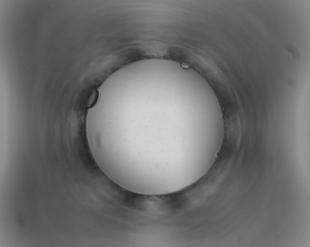X0000113540229200910091250