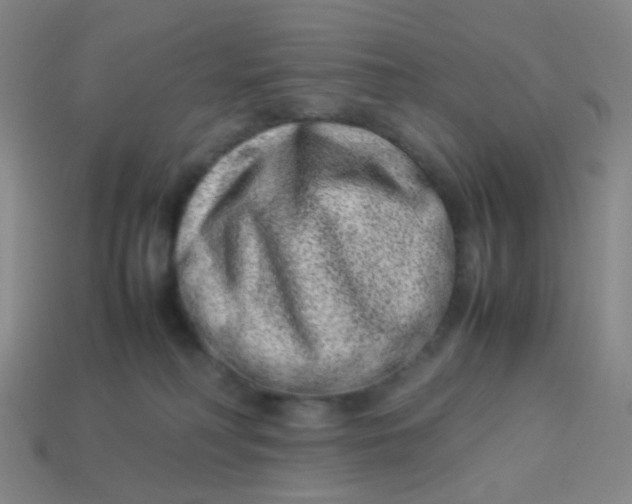 X0000113540230200910091250