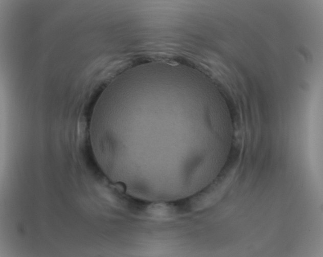 X0000113540231200910091250
