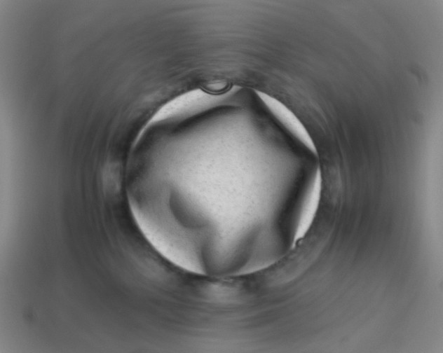 X0000113540232200910091250