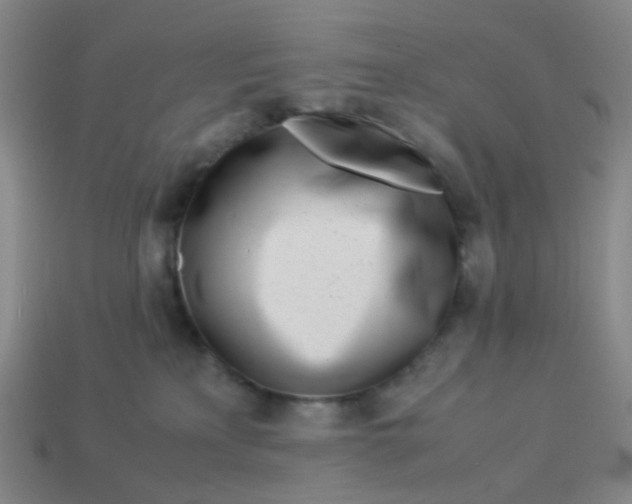 X0000113540233200910091250