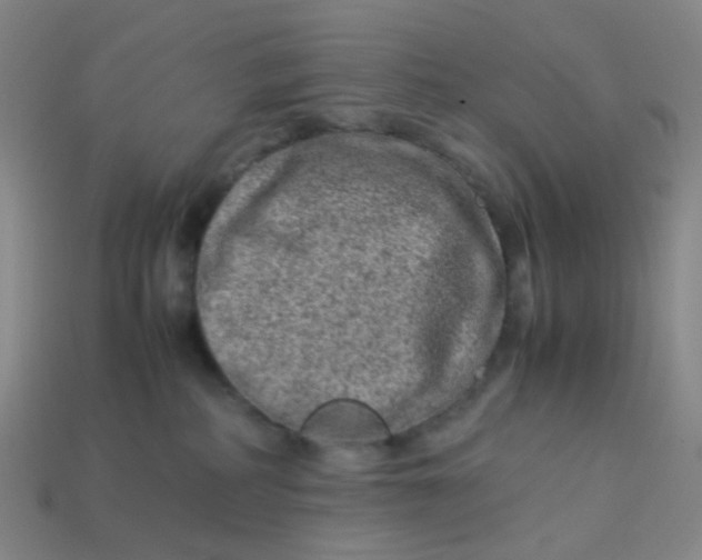 X0000113540234200910091250