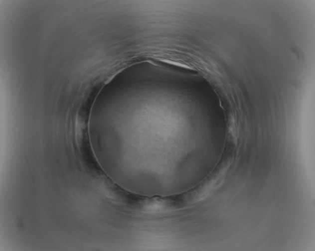 X0000113540235200910091250