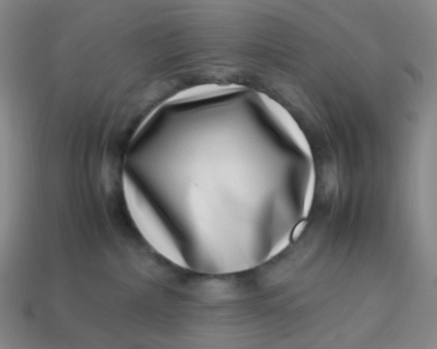 X0000113540236200910091250