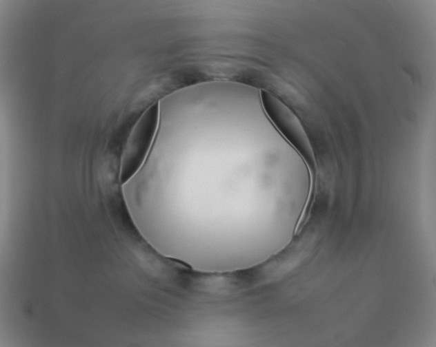 X0000113540237200910091250