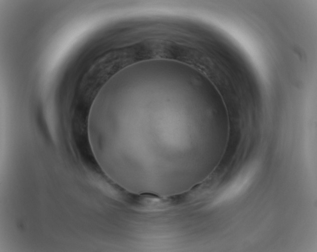 X0000113540239200910091250