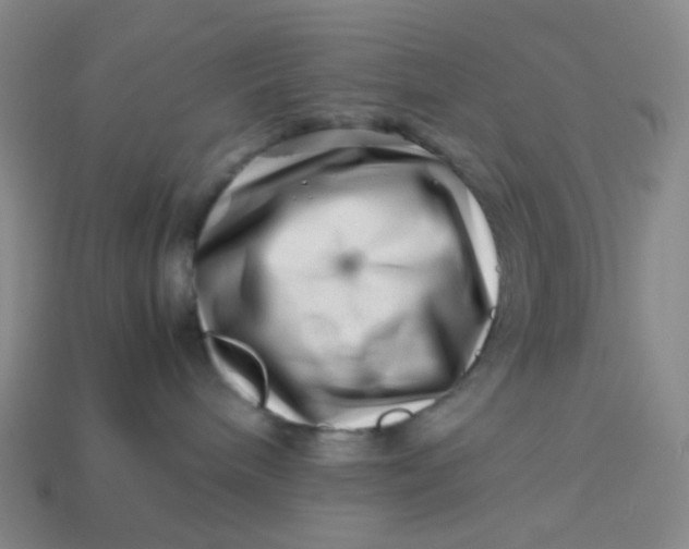 X0000113540240200910091250