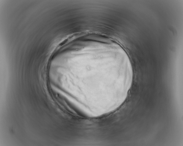X0000113540241200910091249