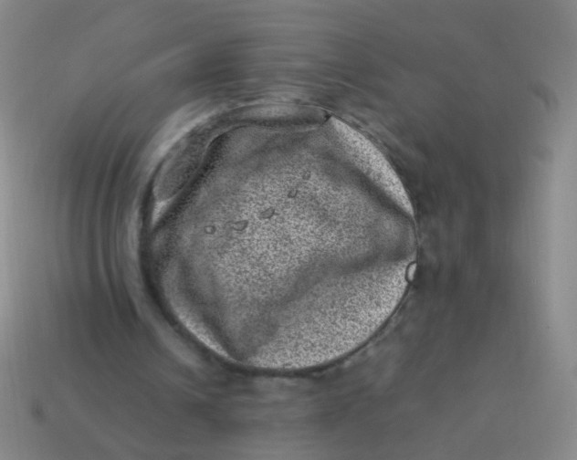 X0000113540242200910091249