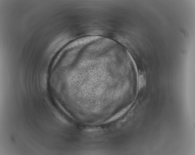 X0000113540243200910091249
