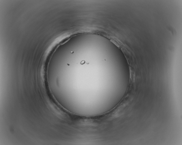 X0000113540244200910091249
