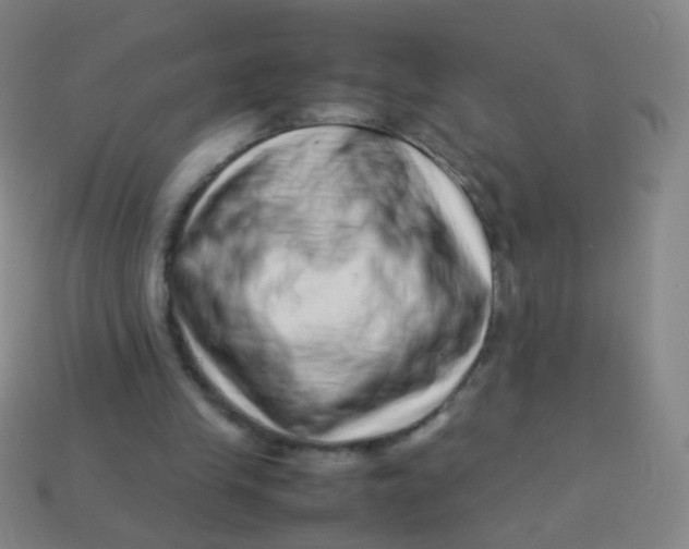 X0000113540245200910091249