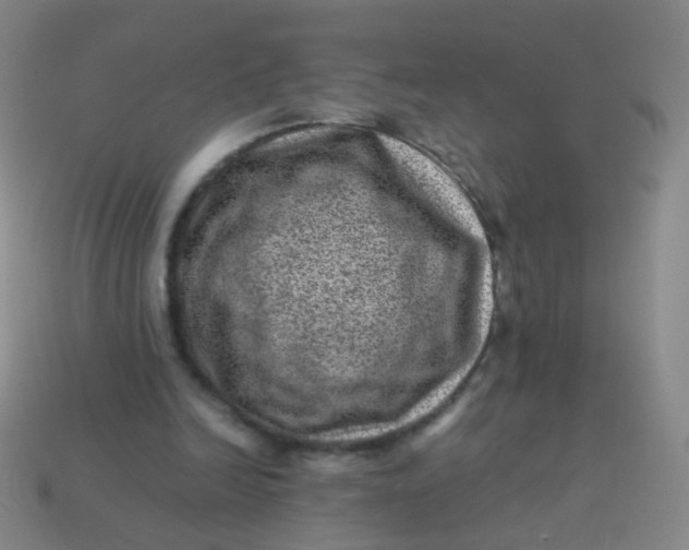 X0000113540246200910091249