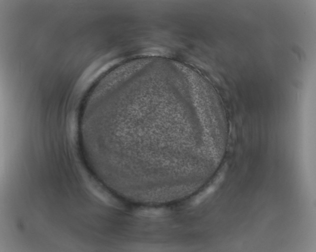 X0000113540247200910091249