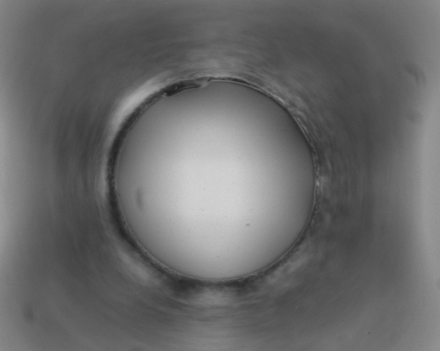 X0000113540248200910091249