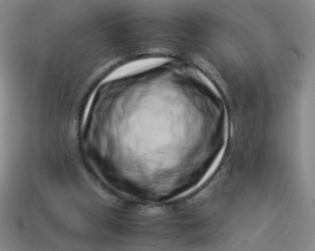 X0000113540249200910091249