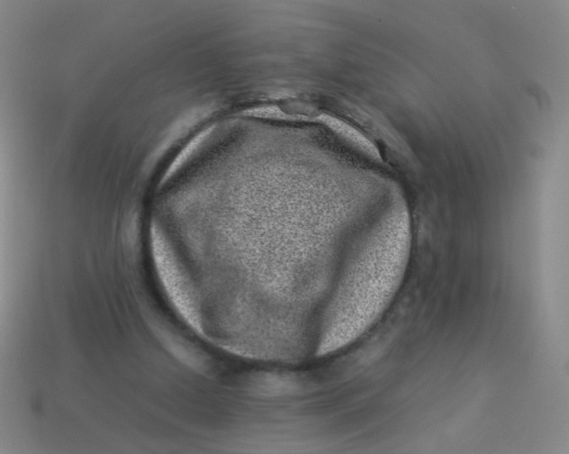 X0000113540250200910091249