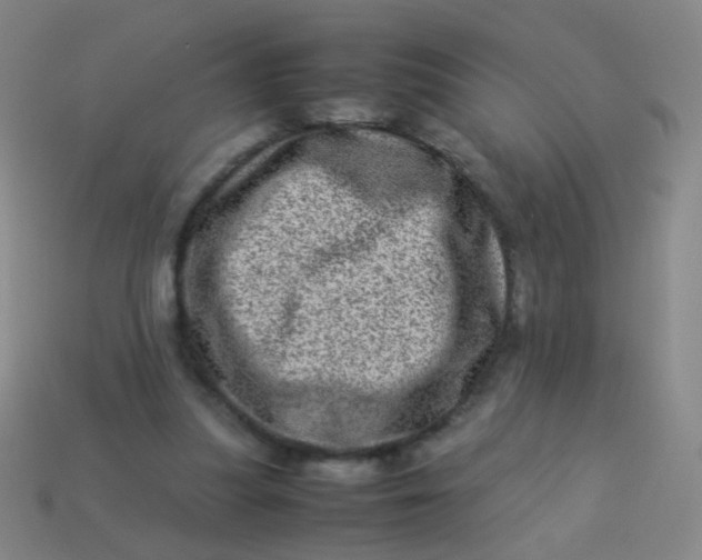 X0000113540251200910091249