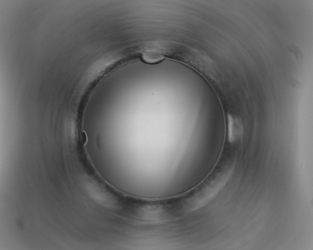 X0000113540252200910091249