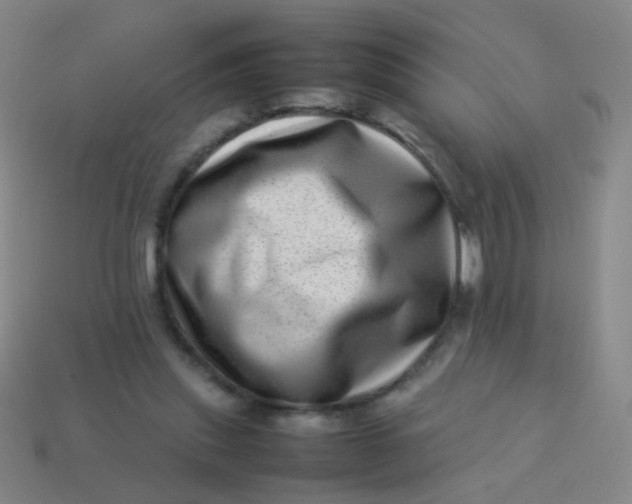 X0000113540253200910091249