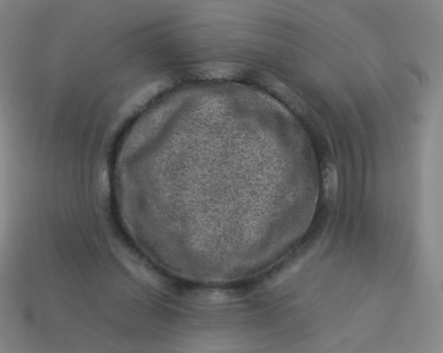 X0000113540254200910091249