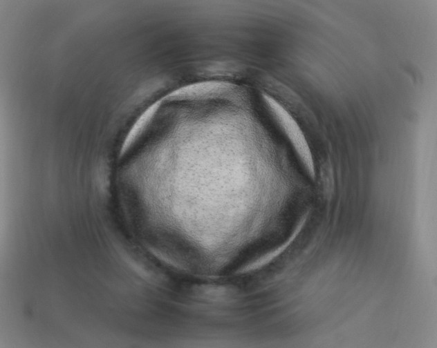 X0000113540255200910091249