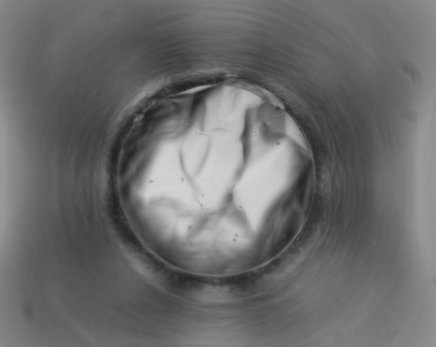 X0000113540256200910091249