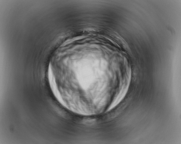 X0000113540257200910091249