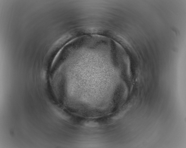 X0000113540258200910091249