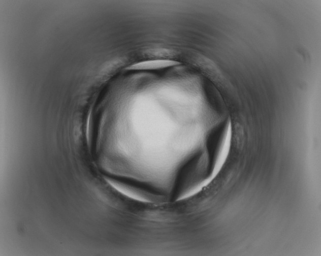 X0000113540259200910091249