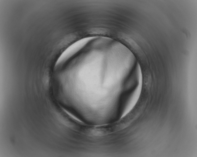 X0000113540261200910091249