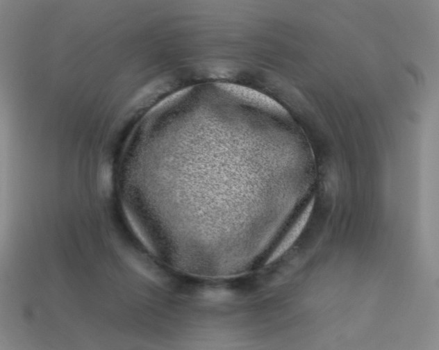 X0000113540262200910091249