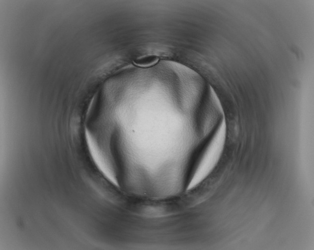 X0000113540263200910091249