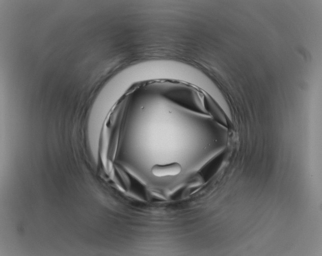 X0000113540264200910091249