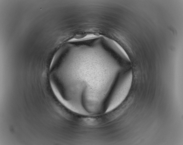 X0000113540265200910091249