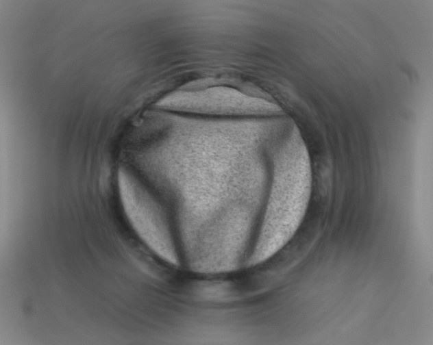 X0000113540266200910091249