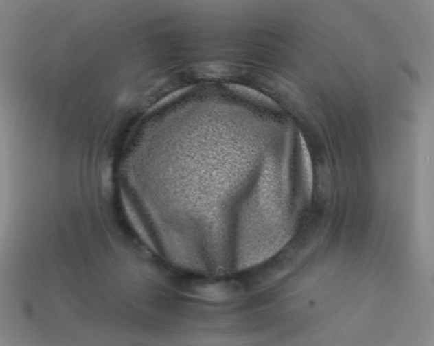 X0000113540267200910091249
