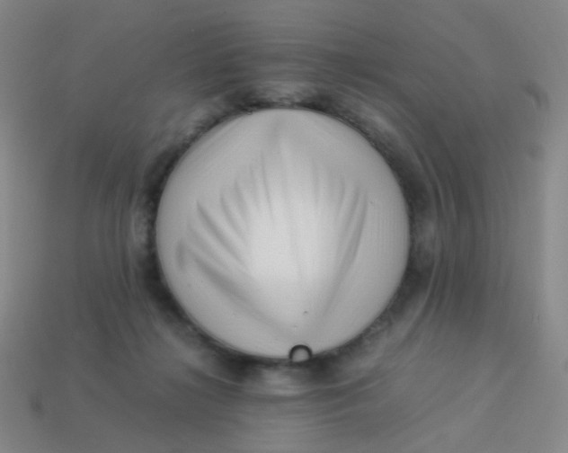 X0000113540268200910091249