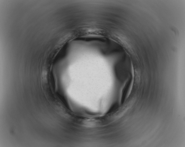 X0000113540269200910091249