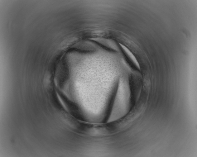 X0000113540270200910091249