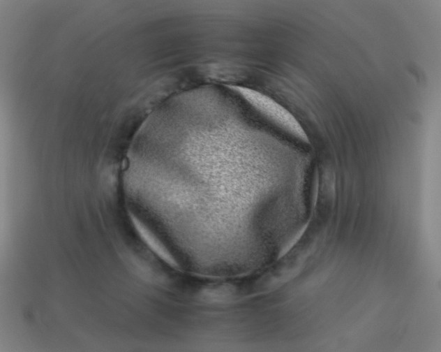 X0000113540271200910091249