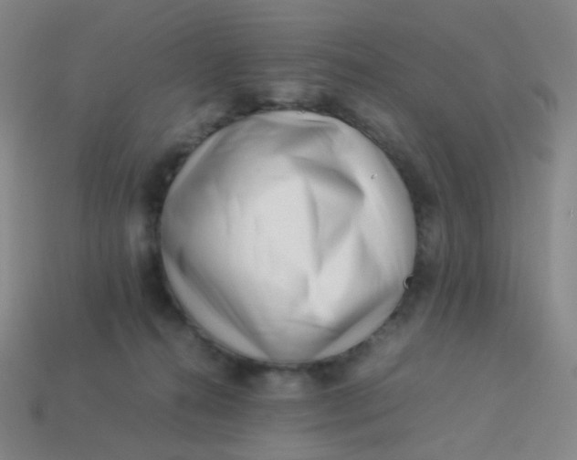 X0000113540272200910091250