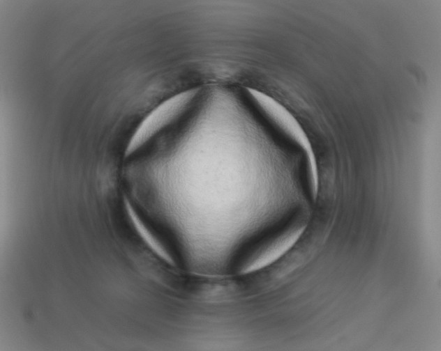 X0000113540274200910091250