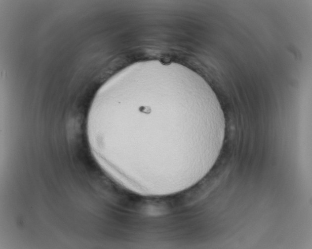 X0000113540275200910091250